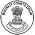 Delhi District Court Logo